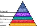 Maslows Hierarchy of Needs: Motivation
